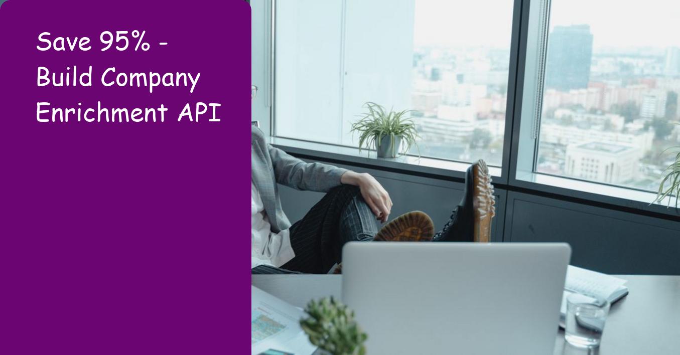Save 95% - Build Company Enrichment API: Ultimate Startup Guide